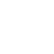 Konsens